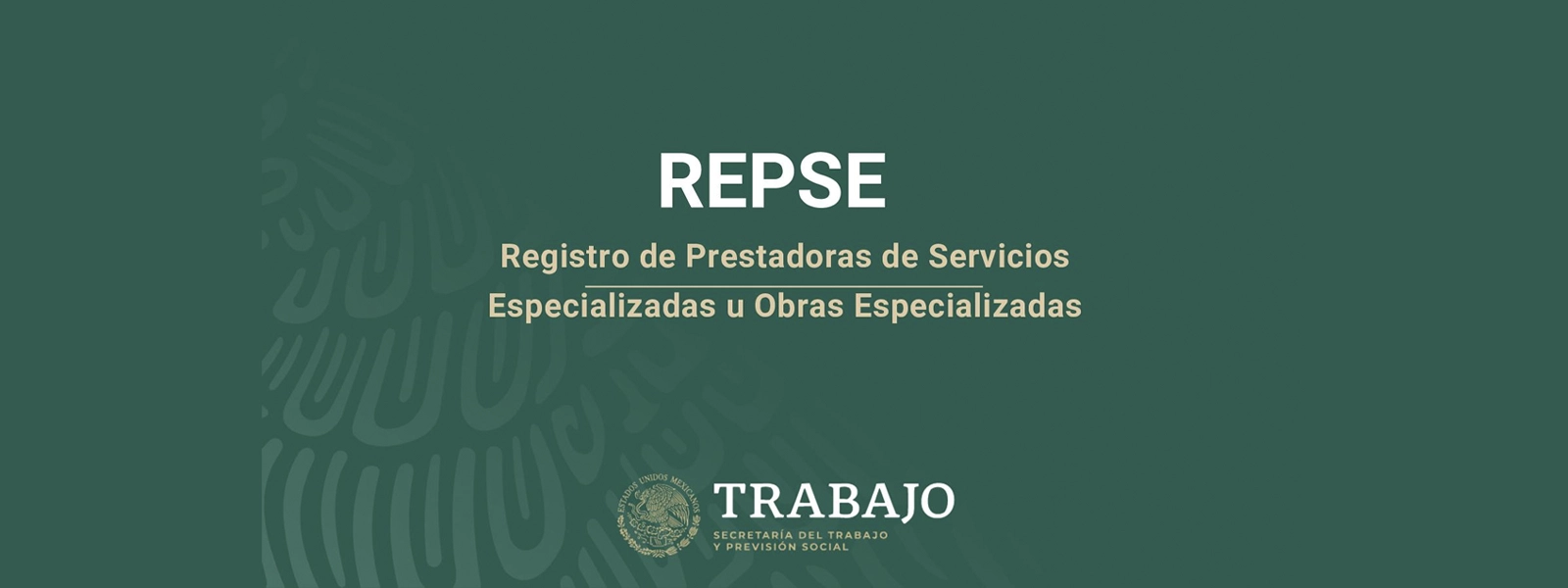 ¿Qué es el REPSE y por qué es tan importante en México?